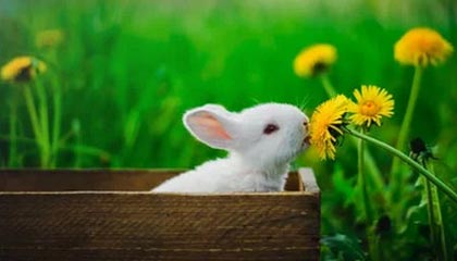 kaiyun网站-库里携妻出席体育慈善之夜引关注，库里ua