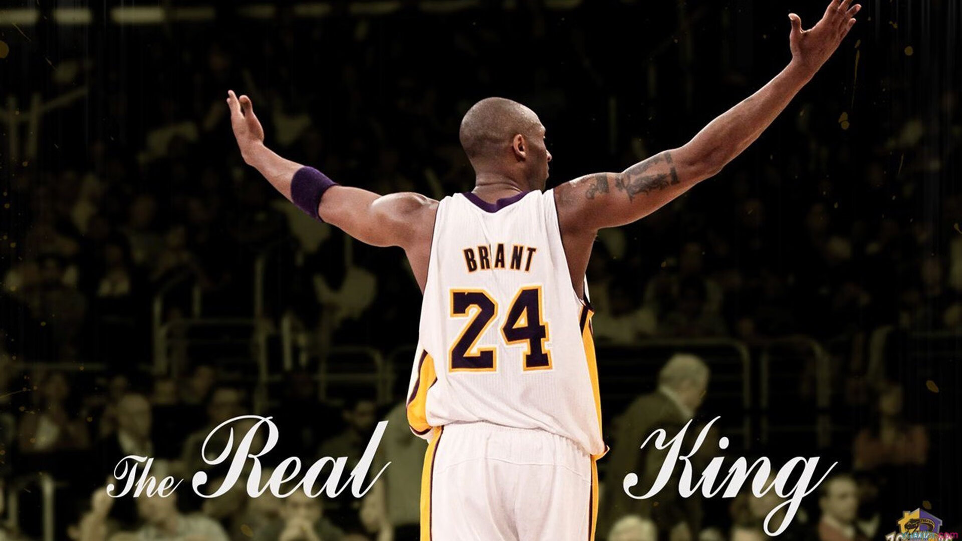 《王者荣耀荣耀之战，冠军花落谁家？》，荣耀冠军百度百科